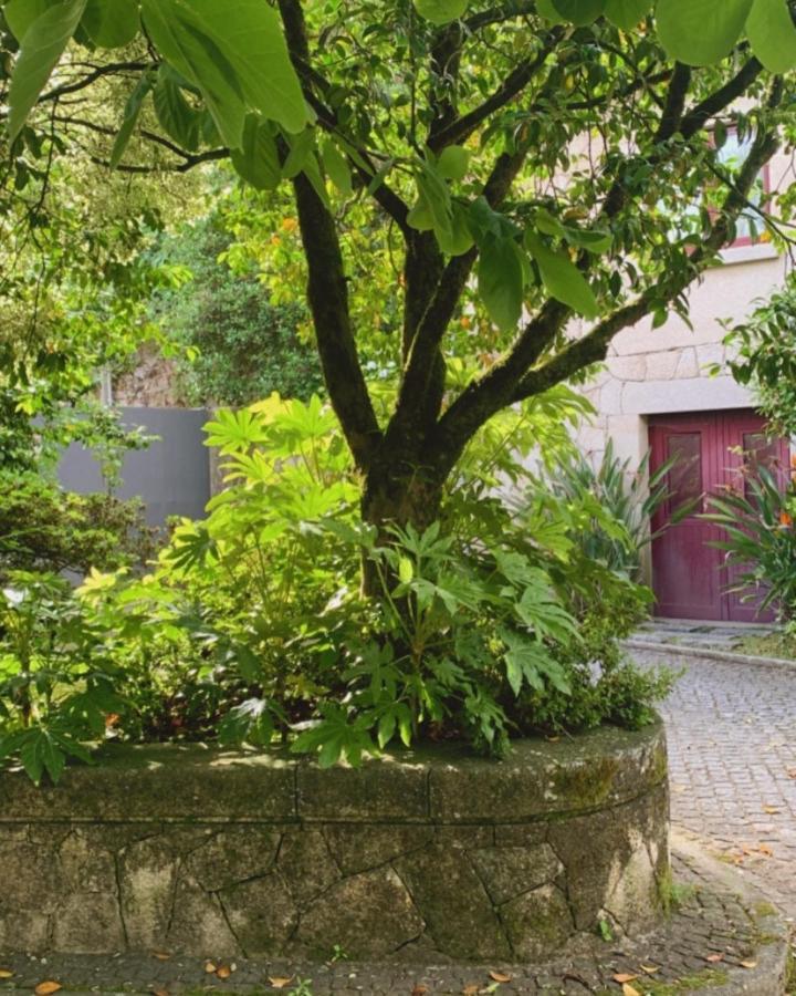 ブラガ Casa Dos Tinocosヴィラ エクステリア 写真